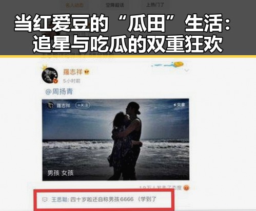 当红爱豆的“瓜田”生活：追星与吃瓜的双重狂欢