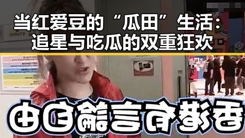 当红爱豆的“瓜田”生活：追星与吃瓜的双重狂欢