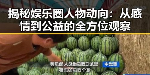 揭秘娱乐圈人物动向：从感情到公益的全方位观察