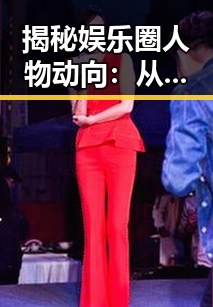 揭秘娱乐圈人物动向：从感情到公益的全方位观察